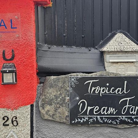 Tropical Dream Farm 호텔 부젤라 외부 사진